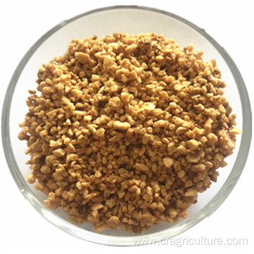 Top Grade Crispy Fried Garlic Granules